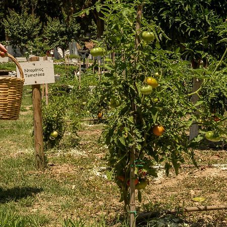 Votsalo Seaside Villa Piso Gialia Bagian luar foto