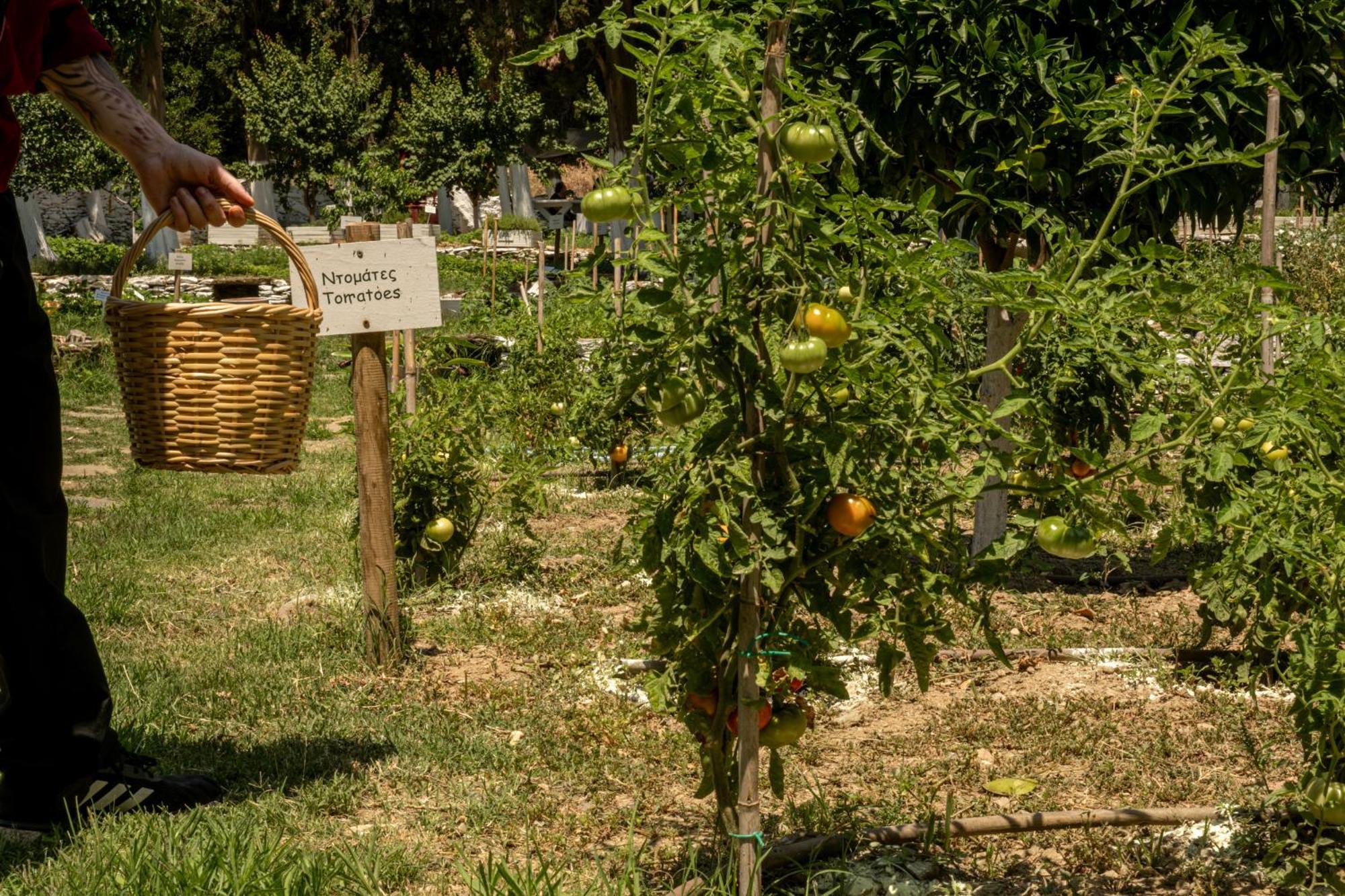 Votsalo Seaside Villa Piso Gialia Bagian luar foto
